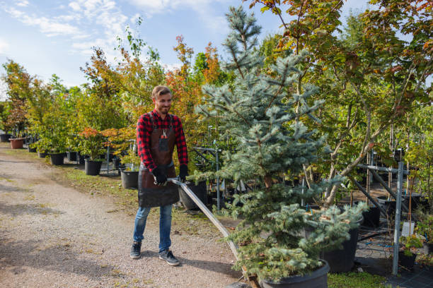 Best Seasonal Cleanup  in Newton, IL